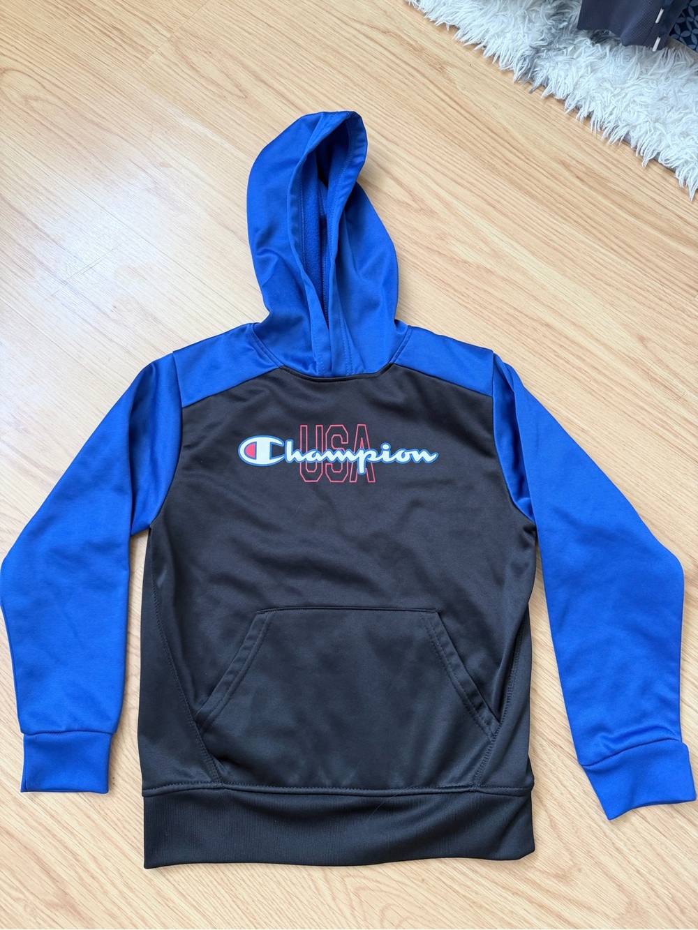 Champion Black Pullover Hoodie with Small Red & Blue Logo